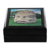test jewelry box - Olmec Colossal Head 2