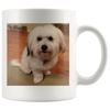 test mug - dog