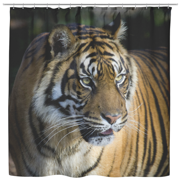 test shower curtain - tiger 1