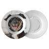 Dog dinner bowl