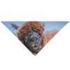 test bandana - alpaca 2