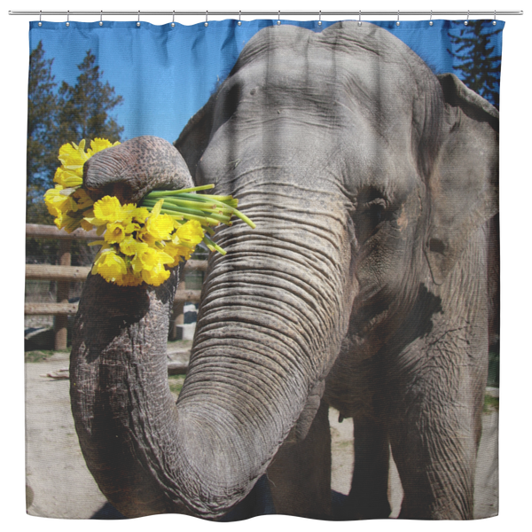 test shower curtain - elephant