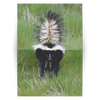 Folded Card Skunk - Tracie