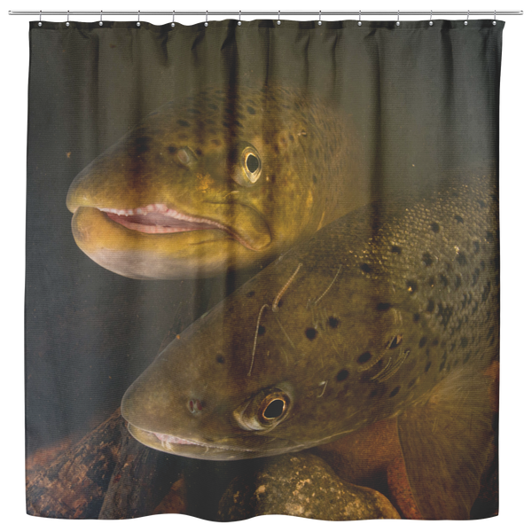 test shower curtain - fish