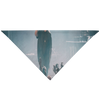 Test pet bando incorrect image size - 1 - 5.17.19
