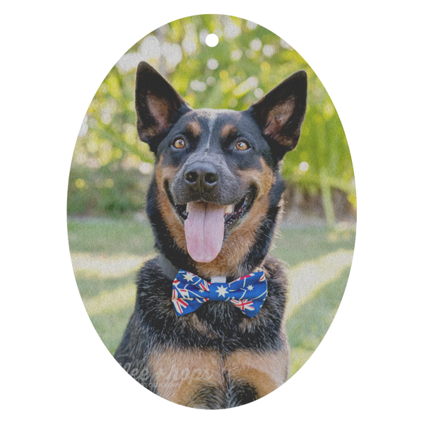 test air freshener - snappy dressin dog!