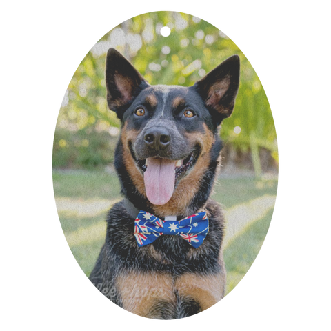 test air freshener - snappy dressin dog!