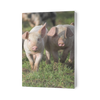 piglets fold card horizontal