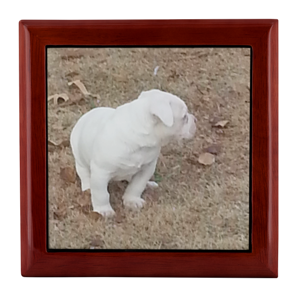 jewelry box option 1 test