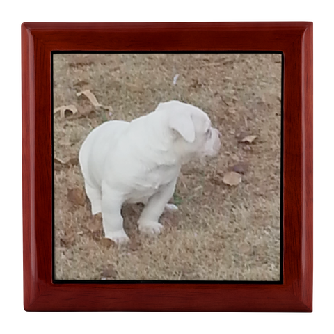 jewelry box option 1 test