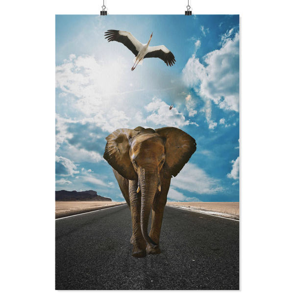 test poster - elephant