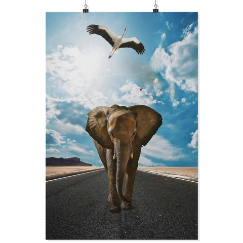 test poster - elephant