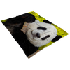 panda panda blanket