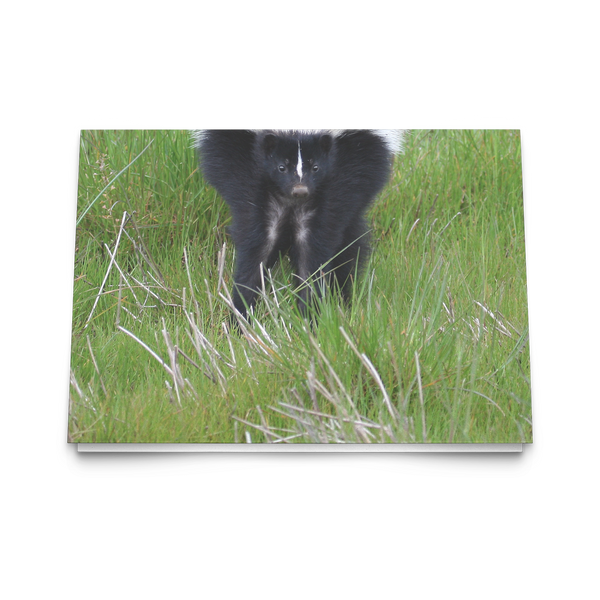 Folded Card Skunk - Tracie
