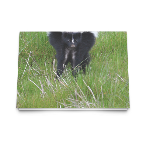 Folded Card Skunk - Tracie