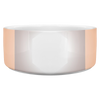 dogbowl v2 t4