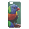 test iphone case - bird 5