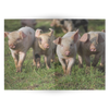 piglets fold card horizontal