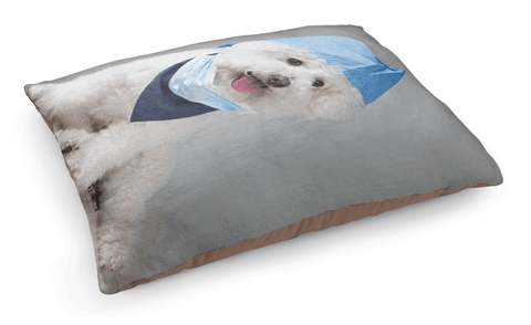 test pet bed - many variants