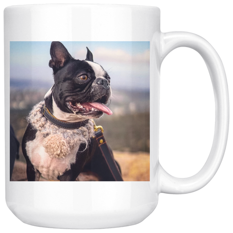 15oz animal mug