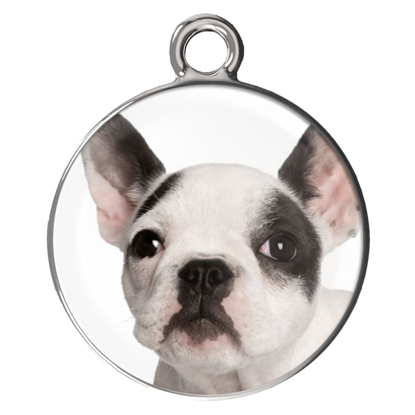 Puppy Bracelets