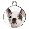 Puppy Bracelets