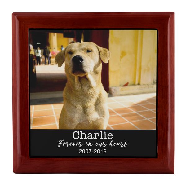 TEST - Jewelry Box - 1 - 5.9.19