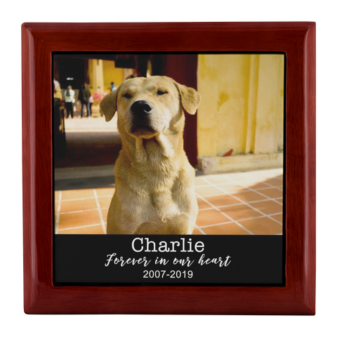 TEST - Jewelry Box - 1 - 5.9.19