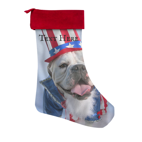 test stock - dog text