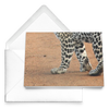 cheeta fold card