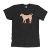 american apparel dog