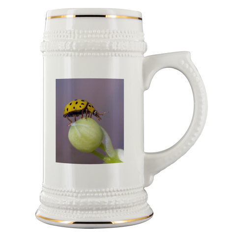 beer stein fb test 2