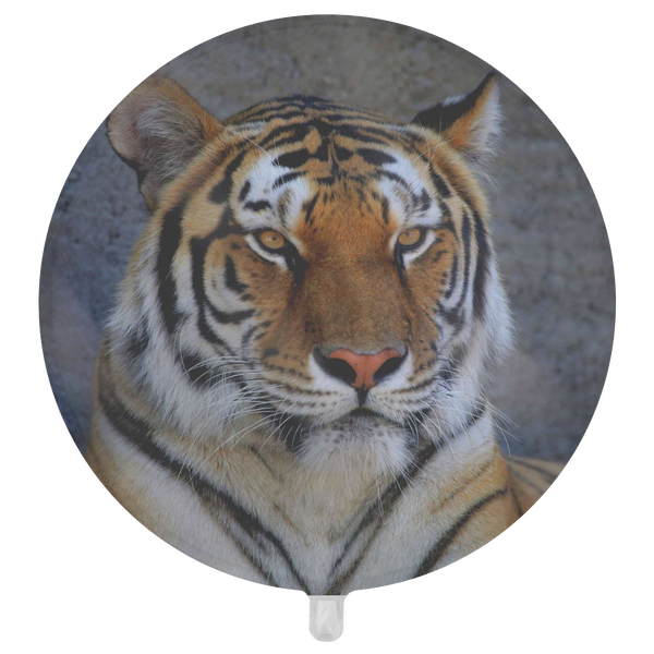 test balloon - tiger