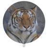 test balloon - tiger