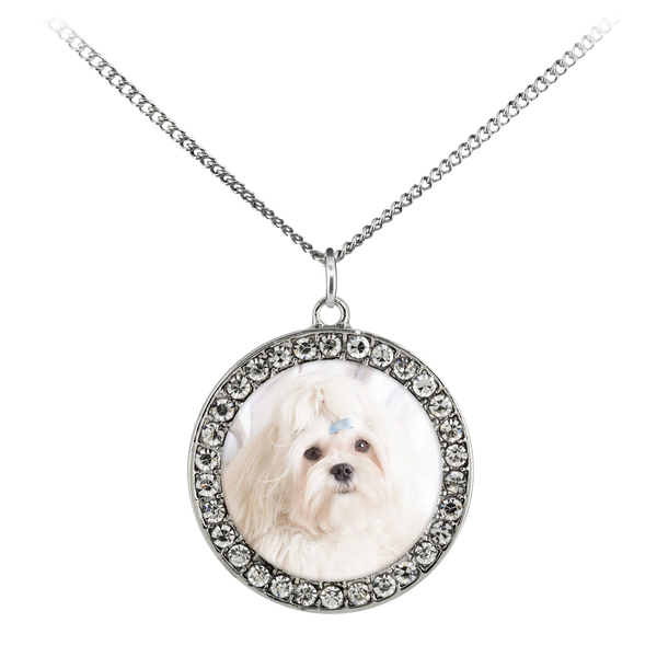 Fancy dog necklace