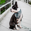 TEST Pet Bandana 8 5.20.19