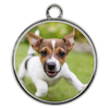 PUPPY BRACELET - PIPER