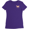 tracie test 9 apparel