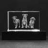 Personalized Block Rectangle Crystal - Mark Test