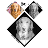 Test Personalized Crystal 12.18.19 - 3