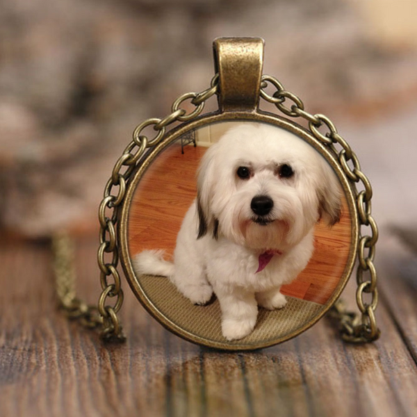 test necklace - dog