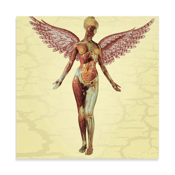 test canvas - angel 2