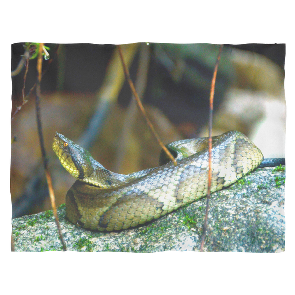 test blanket snake