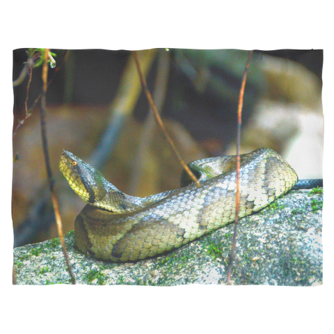 test blanket snake