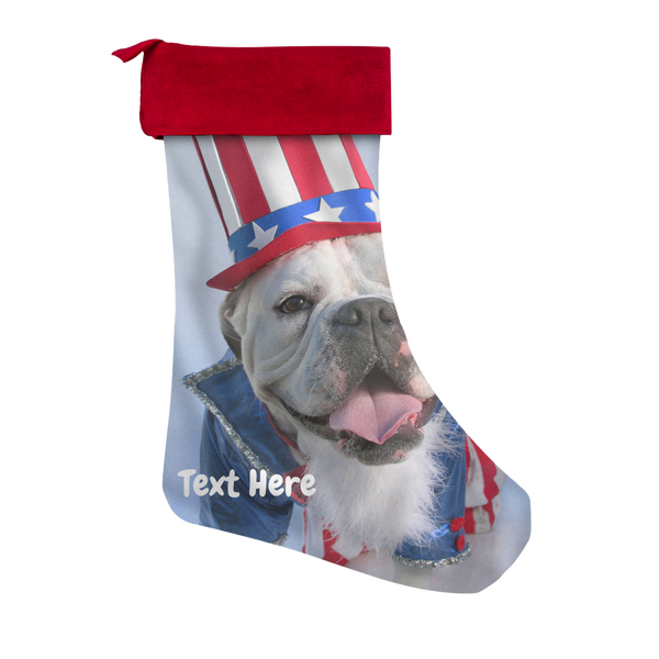 test stocking - dog