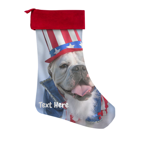 test stocking - dog