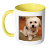 test mug - dog