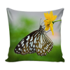 test pillow - earth butterfly