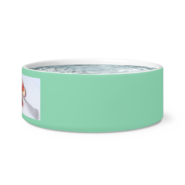 test dog bowl - desser