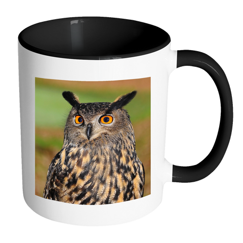 test mug owl